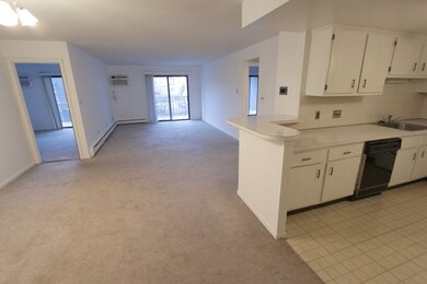 382 Massachusetts Ave unit 204, Arlington, MA 02474 - photo 2