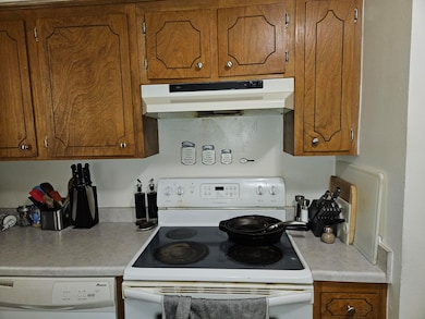 Electric Range