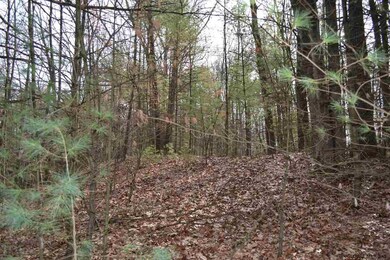 114 Ruggles Rd, Saratoga Springs, NY 12866 - photo 7