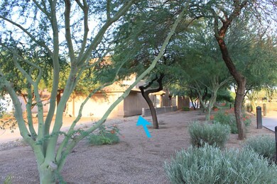 Next to the park