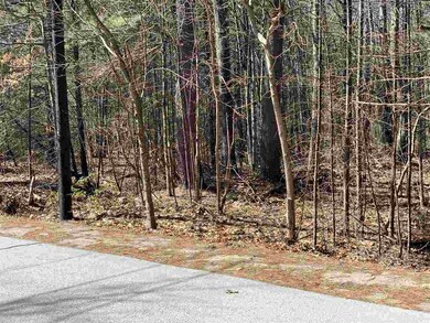 45 Laurel Hill Rd unit Lot 45-18 in Hollis, Hollis, NH 03049 - photo 5