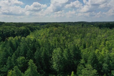 DJI_0824