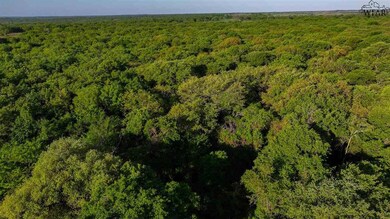 0 Farm To Market Road 103 unit Spanish Fort, Nocona, TX 76255 - photo 3