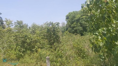 Parcela Camino Los Nieves unit 3, Arecibo, PR 00612 - photo 6