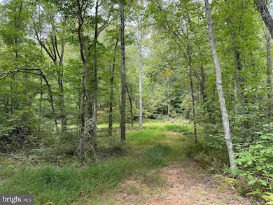 Lot 0110 Mountain Track Rd, Orange, VA 22960 - photo 6