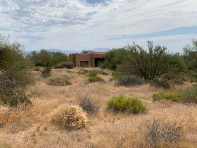 Lush Desert Landscaping