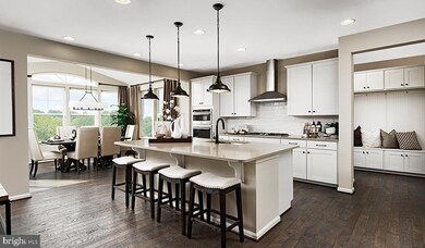 3 Brooks Nolen Way, Owings Mills, MD 21117 - photo 7