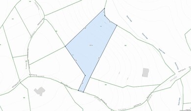 lot 540, topo, close