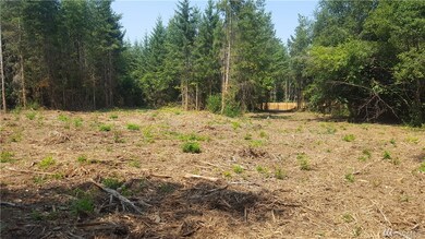 114 Iris Ln, Winlock, WA 98596 - photo 5