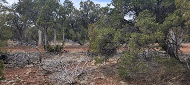 0 Power Line Rd unit 244852, Overgaard, AZ 85933 - photo 6