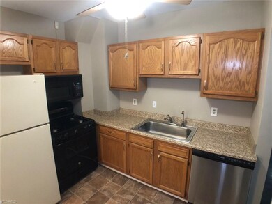 Modern kitchen includes all appliances, lots of ca