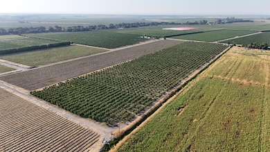 787 W Sutter Island Cross Rd, Courtland, CA 95615 - photo 6