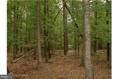 15 Pack Horse Rd, Cross Junction, VA 22625 - photo 5