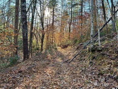 0 Polk County Line Rd unit CAR4322658, Rutherfordton, NC 28139 - photo 2