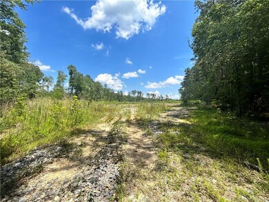 Open cutover, dominion has ROW at right wood line 
