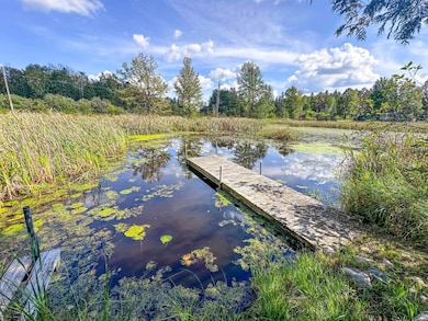 N8633 E Wilson Flowage Rd, Phillips, WI 54555 - photo 4