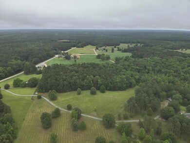 38 Bridges Rd, Carlton, GA 30627 - photo 6