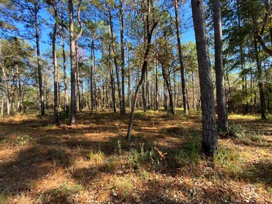 10 Drinkard Rd, Bay Minette, AL 36507 - photo 6