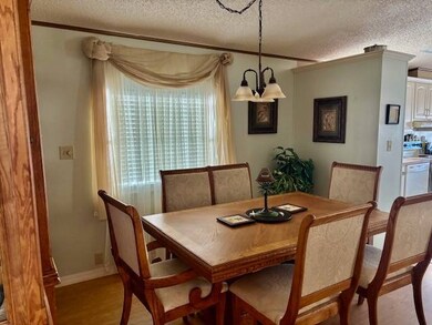 29081 US HWY 19N Lot 186 Palm, Clearwater, FL 33761 - photo 6