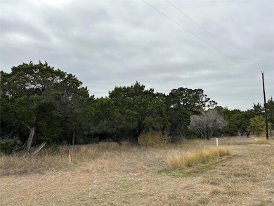 View of local wilderness