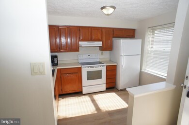 5983 Rowanberry Dr, Elkridge, MD 21075 - photo 2