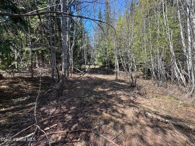 NNA Upper Manley Creek Rd 20 Acres, Laclede, ID 83841 - photo 6