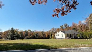 979 Howard Gap Rd, Tryon, NC 28782 - photo 5