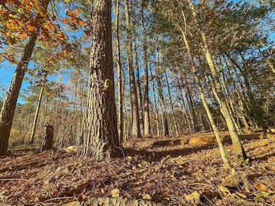 0 Big Rock Rd, Jacksons Gap, AL 36861 - photo 4