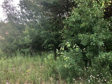 13 Eastfield Dr, Gray, ME 04039 - photo 2