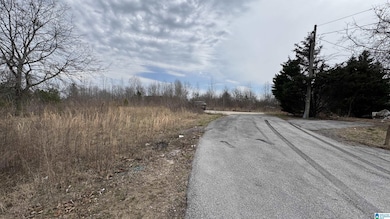 00 Kent St, Phil Campbell, AL 35581 - photo 2