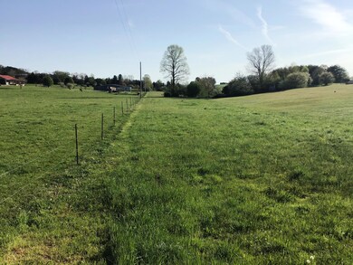 Ash Meadow Pict 41921 A