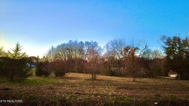 7109 Babelay Rd, Knoxville, TN 37924 - photo 7