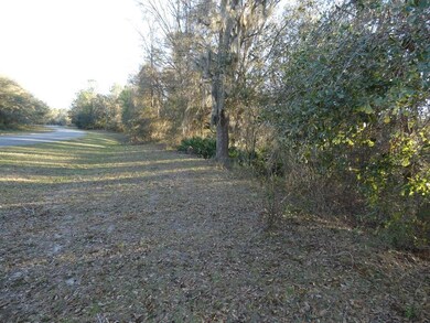 00 SW 215th Court Rd, Dunnellon, FL 34431 - photo 7