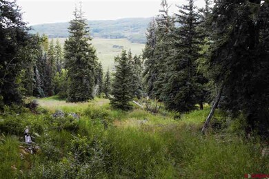 E of Highway 135- Granite Basin River Ranch, Crested Butte, CO 81224 - photo 4