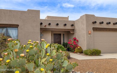 Beautiful Desert Blooms