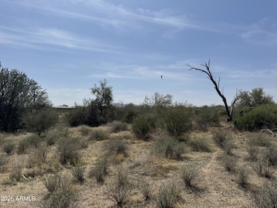 174th E Dixileta Dr, Scottsdale, AZ 85263 - photo 5