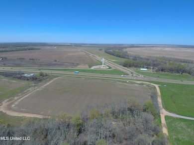 Looking North
