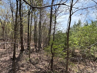 0 Spencer Rd unit 7 57122, Concord, VA 24538 - photo 4