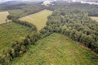 tbd N Carolina 87, Pittsboro, NC 27312 - photo 7