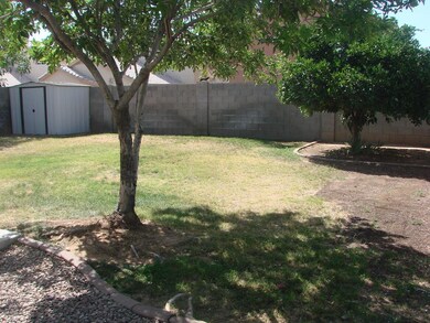 BACK YARD