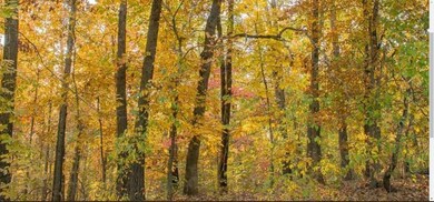 0 York Dr & Clark Ln, Bella Vista, AR 72714 - photo 3