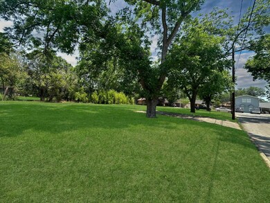 View of grassy yard