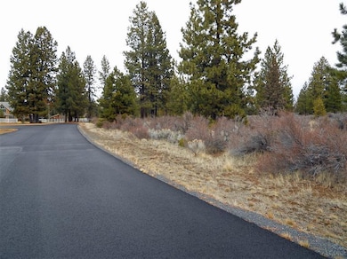 20180 Red Sky Ln, Bend, OR 97702 - photo 5