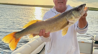 Walleye.jpg