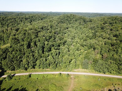 999 Buncomb Creek Rd, Tyner, KY 40486 - photo 3