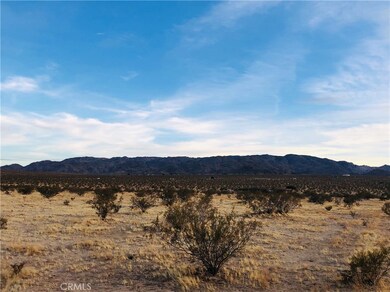 5000 Pearl Springs Ave, Twentynine Palms, CA 92277 - photo 3