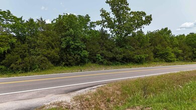 000 State Hwy 86, Eagle Rock, MO 65641 - photo 5