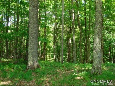 Nice Wooded Lot