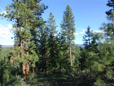 Nicely Timbered Acreage