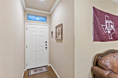 421 Momma Bear Dr, College Station, TX 77845 - photo 3